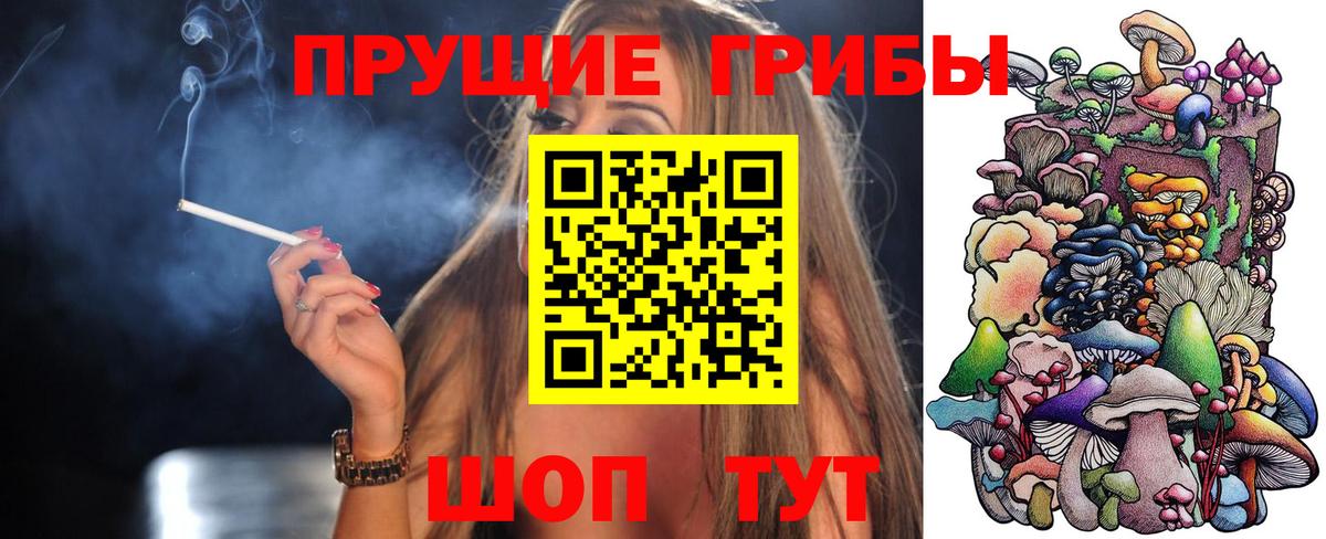 Строитель  Галлюциногенные грибы Magic Shrooms  Псилоцибиновые грибы прущие грибы  Вход с VPN 